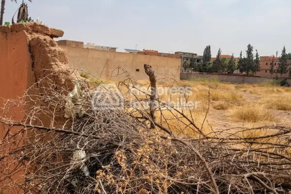 Vente terrain à Route d'Agadir Essaouira. Surface de 12000 m²