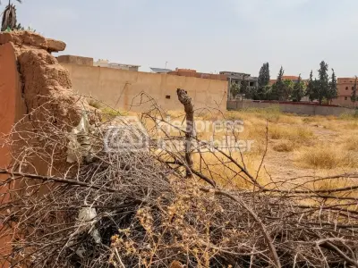 Vente terrain à Route d'Agadir Essaouira. Surface de 12000 m²