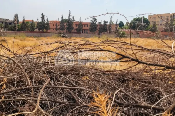 Vente terrain à Route d'Agadir Essaouira. Surface de 12000 m²