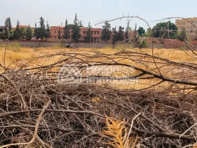 Vente terrain à Route d'Agadir Essaouira. Surface de 12000 m²