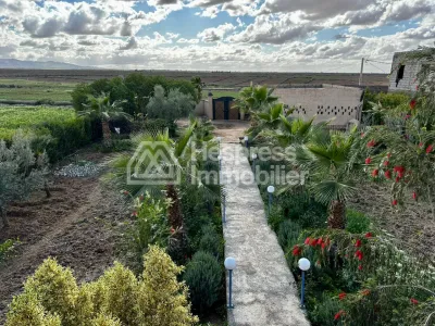Ferme avec Villa Plain Pied à Vendre à Ghmat – Route de L’Ourika Milkiya