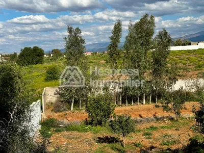 Ferme avec Villa Plain Pied à Vendre à Ghmat – Route de L’Ourika Milkiya