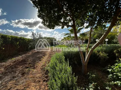 Ferme avec Villa Plain Pied à Vendre à Ghmat – Route de L’Ourika Milkiya