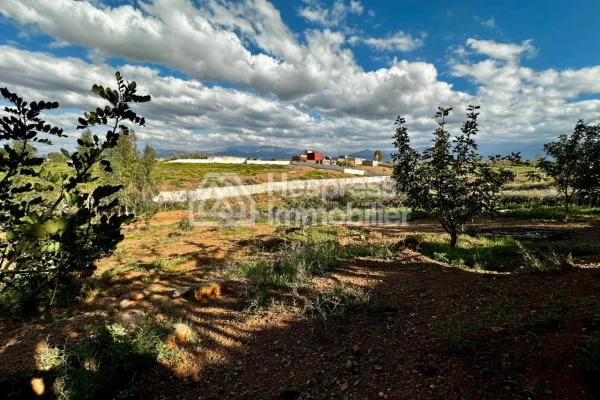 Farm with single-story villa for sale in Ghmat – Ourika Road, Milkiya
