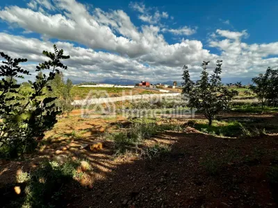 Ferme avec Villa Plain Pied à Vendre à Ghmat – Route de L’Ourika Milkiya