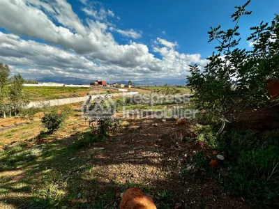 Ferme avec Villa Plain Pied à Vendre à Ghmat – Route de L’Ourika Milkiya