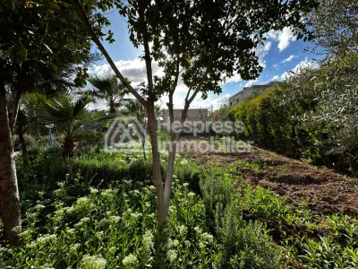 Ferme avec Villa Plain Pied à Vendre à Ghmat – Route de L’Ourika Milkiya