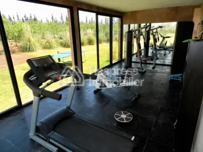 Luxury villa, 1.7 hectares. For sale in R. Ourika
