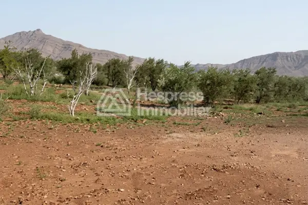 Titled Farm 2 Hectares 2500 m2 Marrakech Borrous
