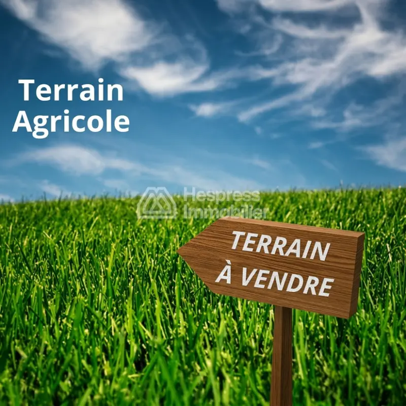Titled agricultural land of 47 hectares on the Ourika Road