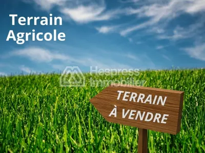 Titled agricultural land of 47 hectares on the Ourika Road