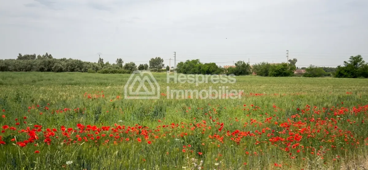 Terrain Titrée À Vendre 11 Hec Km 35 Ait Ourire