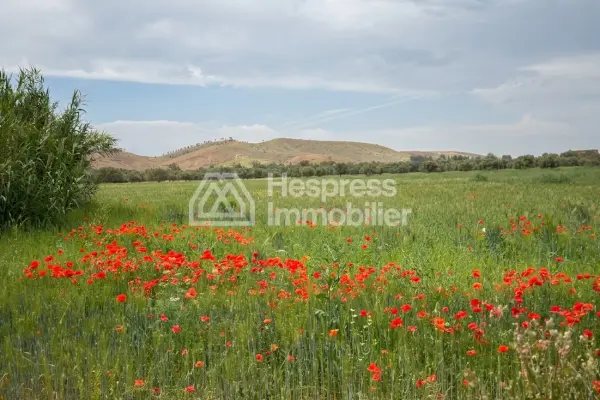 Titled Land for Sale, 11 Hectoliters, Km 35, Ait Ourire