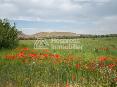 Terrain Titrée À Vendre 11 Hec Km 35 Ait Ourire