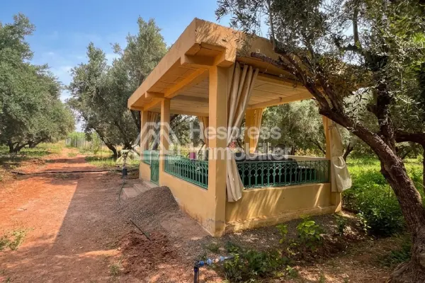 2-hectare farm for sale on the Fes road Marrakech