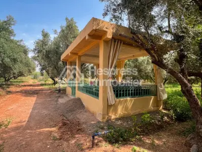 2-hectare farm for sale on the Fes road Marrakech