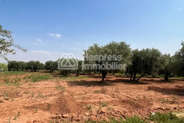 2-hectare farm for sale on the Fes road Marrakech